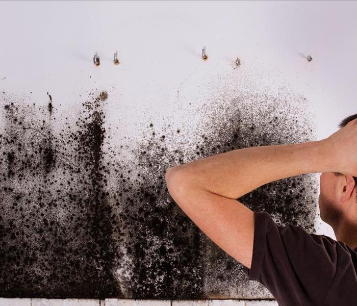 Home owners find mold!